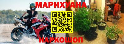 крисы Балаково